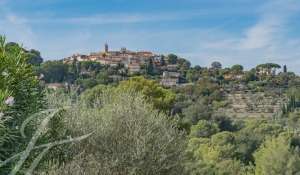 Alquiler Área de comercio Mougins