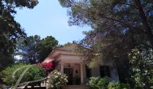 Alquiler Villa Palma de Mallorca