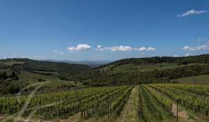 Venta Casa solariega Siena