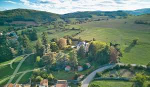 Venta Castillo Saint-Julien-Molin-Molette