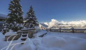 Venta Chalet Haute-Nendaz