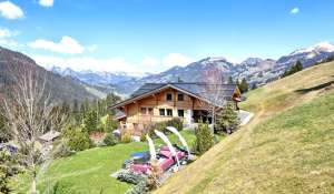 Venta Chalet Saanen