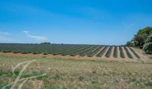 Venta Finca Gréoux-les-Bains