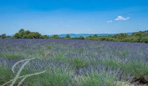 Venta Finca Gréoux-les-Bains