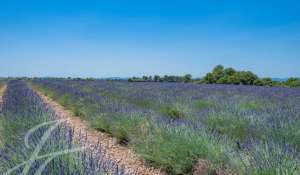 Venta Finca Gréoux-les-Bains