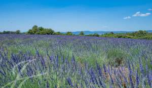 Venta Finca Gréoux-les-Bains