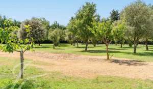 Venta Finca Taillades