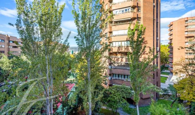 Venta Piso Madrid