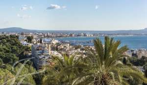 Venta Piso Palma de Mallorca