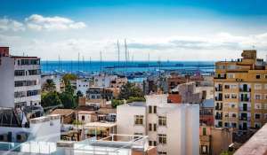 Venta Piso Palma de Mallorca