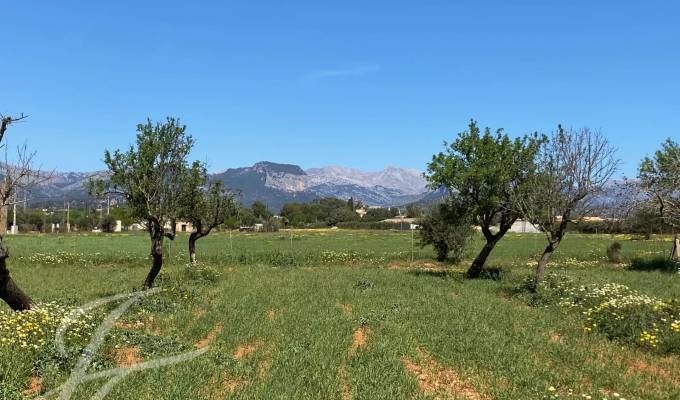 Venta Terreno Consell