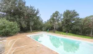 Venta Villa Porto-Vecchio