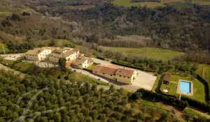 Venta Viñedo Siena